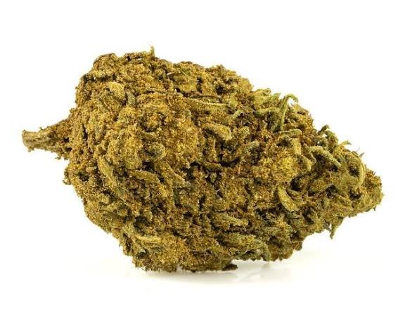 cannabis ohne rezept online kaufen, cannabis online kaufen, gras kaufen cannabis ohne rezept online kaufen, cannabis online kaufen, gras kaufen